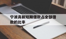 宁波高新短期借款占全部借款的比率