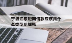 宁波江东短期借款应该用什么类型明细账