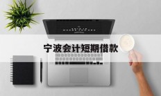 宁波会计短期借款
