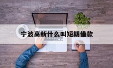 宁波高新什么叫短期借款