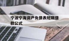 宁波宁海资产负债表短期借款公式