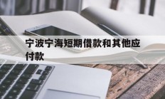 宁波宁海短期借款和其他应付款