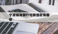 宁波镇海银行短期借款有哪些