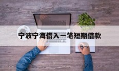 宁波宁海借入一笔短期借款
