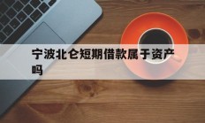 宁波北仑短期借款属于资产吗