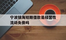 宁波镇海短期借款是经营性流动负债吗