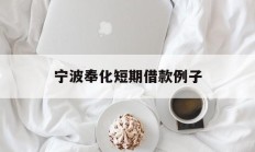 宁波奉化短期借款例子
