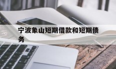 宁波象山短期借款和短期债务