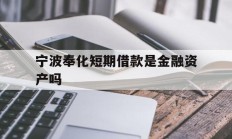 宁波奉化短期借款是金融资产吗