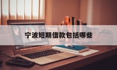 宁波短期借款包括哪些