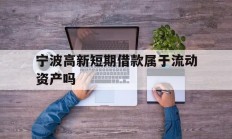 宁波高新短期借款属于流动资产吗