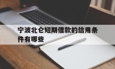 宁波北仑短期借款的信用条件有哪些