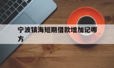 宁波镇海短期借款增加记哪方