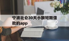 宁波北仑30天小额短期借款的app