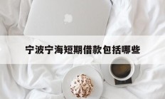宁波宁海短期借款包括哪些