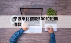 宁波奉化借款500的短期借款