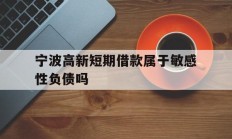 宁波高新短期借款属于敏感性负债吗