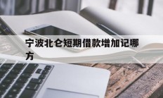 宁波北仑短期借款增加记哪方