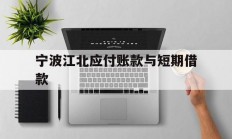 宁波江北应付账款与短期借款