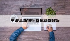宁波高新银行有短期贷款吗