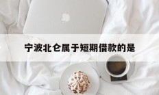 宁波北仑属于短期借款的是