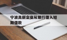 宁波高新企业从银行借入短期借款