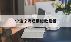 宁波宁海短期借款是指