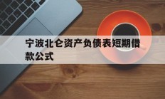 宁波北仑资产负债表短期借款公式