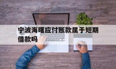 宁波海曙应付账款属于短期借款吗