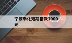 宁波奉化短期借款1000元