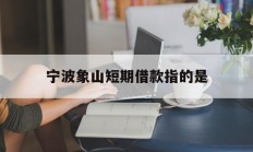 宁波象山短期借款指的是