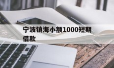 宁波镇海小额1000短期借款