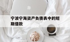 宁波宁海资产负债表中的短期借款