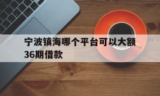 宁波镇海哪个平台可以大额36期借款