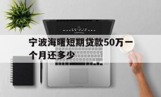 宁波海曙短期贷款50万一个月还多少