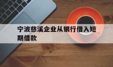 宁波慈溪企业从银行借入短期借款