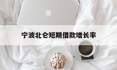 宁波北仑短期借款增长率