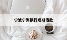 宁波宁海银行短期借款