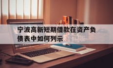 宁波高新短期借款在资产负债表中如何列示