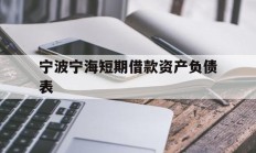 宁波宁海短期借款资产负债表