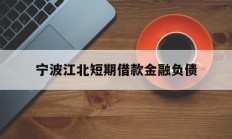 宁波江北短期借款金融负债