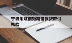 宁波余姚借短期借款贷应付账款