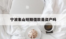 宁波象山短期借款是资产吗