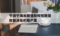 宁波宁海长期借款和短期借款都涉及的账户是