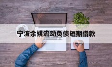 宁波余姚流动负债短期借款