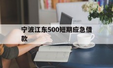 宁波江东500短期应急借款