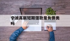 宁波高新短期借款是负债类吗
