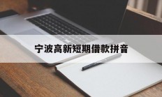 宁波高新短期借款拼音