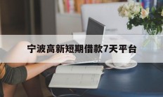 宁波高新短期借款7天平台