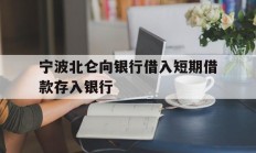 宁波北仑向银行借入短期借款存入银行
